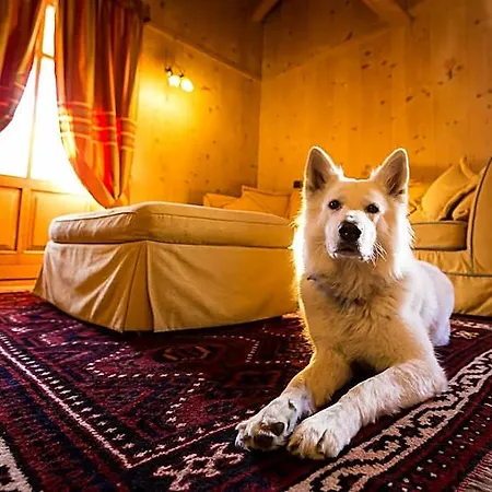 Lyshaus 4* Gressoney-Saint-Jean