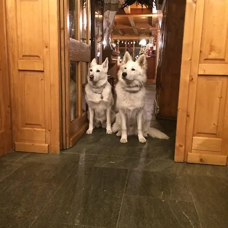 Lyshaus 4* Gressoney-Saint-Jean