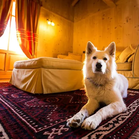 Ξενοδοχείο Lyshaus 4*