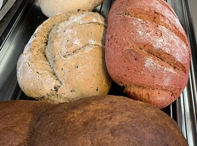 Lyshaus Hotel Gressoney-Saint-Jean